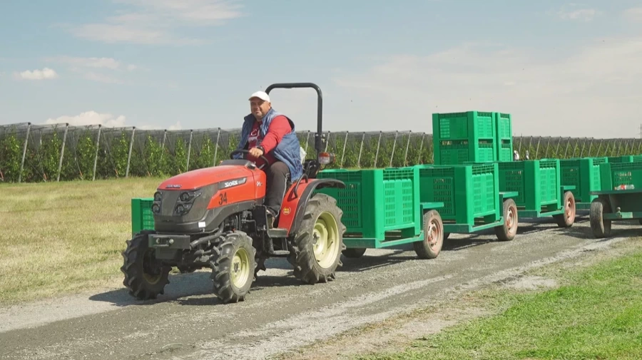 Минитрактор Solis-Gold | Солис-Голд 26 Mit 4x4 6+2B STD agri 6.00-12 / 8.3-20 (с ПСМ)