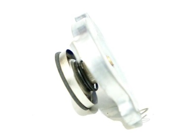 R190-R195 Крышка радиатора
