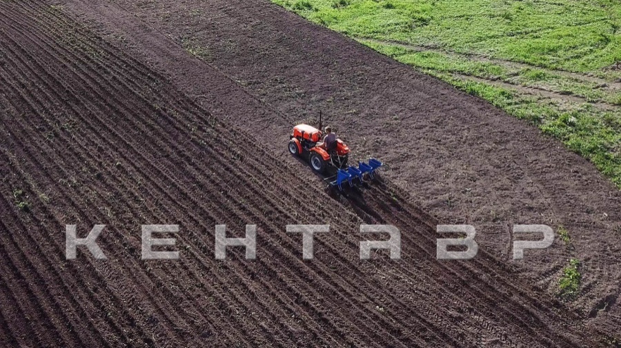 Трактор Кентавр Т-244 PRO (Toyokawa) Generation II (с ПСМ)